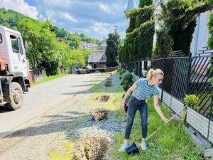 plantare copaci poienile izei