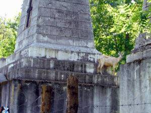 capra pe mausoleu borsa