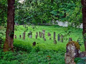 cimitir evreiesc leordina1