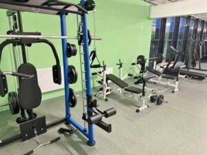 sala-fitness-moisei