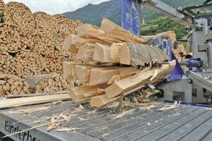Tas de bois de chauffage coupé préparé pour l’hiver