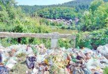 Studiu de (ne)caz • Cum se plimbă bani de la Stat la Stat, degeaba!