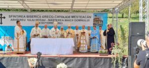 mesteacan