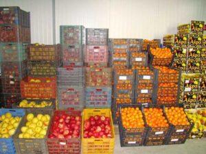 fructe-legume