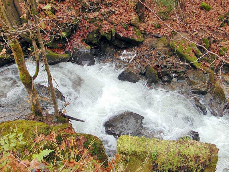 valea-neagrea-cu-calorifer