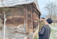 Descoperire în Maramureș • Bârnele unei vechi biserici, găsite în Rona de Sus