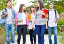 Facilități pentru angajatorii ce lucrează cu studenți și elevi, în vacanțe
