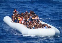 Provocările migrației
