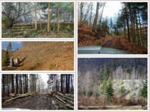 Alt no man’s land în Maramureș