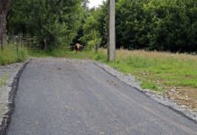 Asfaltări, extinderi de rețele de apă și canalizare în Vișeu de Sus