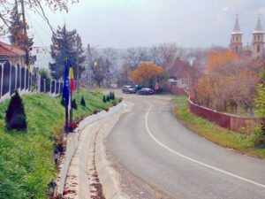 boiu-mare-2