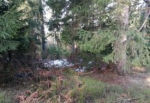 Semnal de alarmă în Maramureş cu privire la aruncarea necontrolată a deşeurilor!