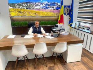 ion sorin timis