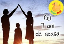Anii de-acasă