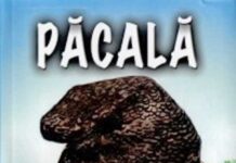 Nu vreau să fiu primar!