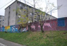 Gardul „discriminatoriu” de pe Horea ar putea fi înlocuit cu… altul!