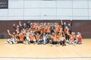 Minaur,-bronz