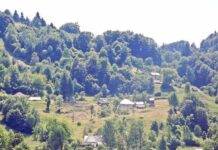 În Repedea • Centru pentru copiii cu părinți plecați