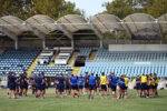 Lupii, Rugby Europe