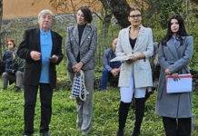 Ca o nuntire într-un auriu de octombrie
