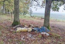 Gura lumii ☺ Cum se scoate gunoiul la pădure?
