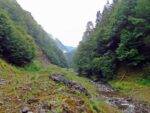 valea frumu1