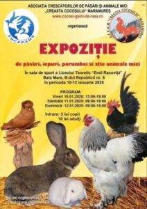 expozitie-animale