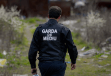 Gestionarea deşeurilor. Încep controalele în UAT-urile din Maramureş!