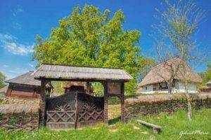 Asociatia-Muzeului
