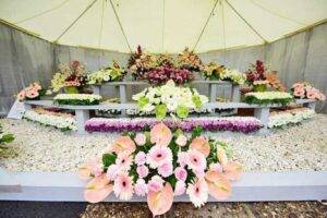 flora-(2)