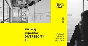 DIVERSECITY-X5