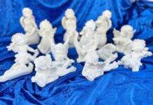 Metodă inedită de a atrage donații din partea Asociației Salvați Animalele