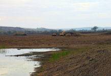 Renasc lacurile de la Ariniș