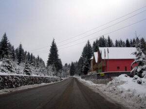 cavnic iarna 2008