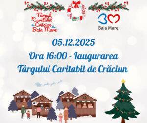 targ caritabil craciun