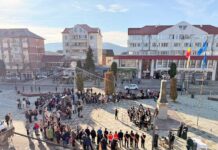 Taxele și impozitele locale din Târgu Lăpuș vor crește la anul cu circa 65%