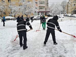 deszapezire baia mare