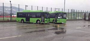 autobuze viseu