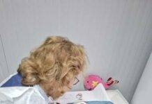 Programul de sprijin pentru mame cu bebeluși, asigurat până în aprilie