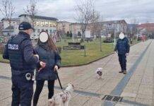 Reguli clare pentru proprietarii de câini, verificate de Poliția Locală Baia Mare