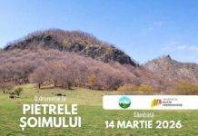 Drumeție la Pietrele Șoimului