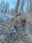 incendiu-vârful-iricău-1