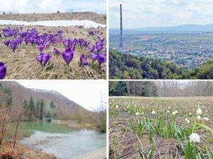 maramures