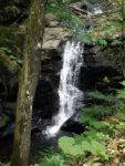 cascada spre poiana dumitru