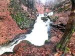 cascada valini tel bun 11