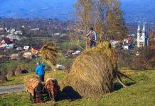 Eco Maramureș își reconfirmă statutul de destinație ecoturistică certificată