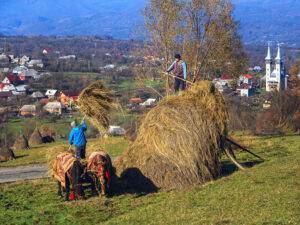 Eco Maramures
