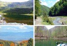 Paradisuri maramureșene • De la o poieniță la o râpă, la zeci de kilometri de pășune, la oaze de frumusețe! (VIDEO)