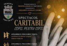 În Vișeu de Sus, spectacol caritabil pentru tânărul Andrei
