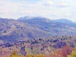 Toroioaga-de-la-Sacel